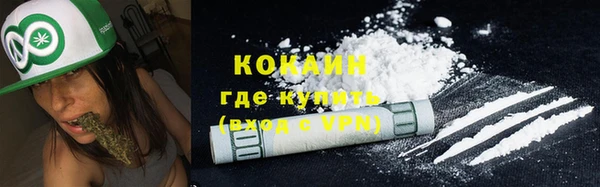 тгк Инсар