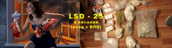 тгк Инсар