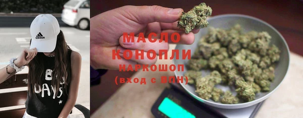 тгк Инсар