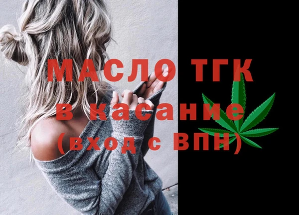 тгк Инсар
