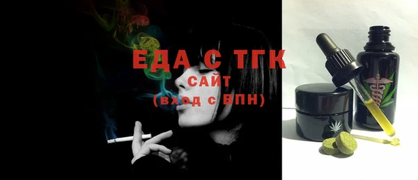 тгк Инсар