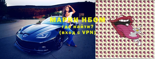 тгк Инсар