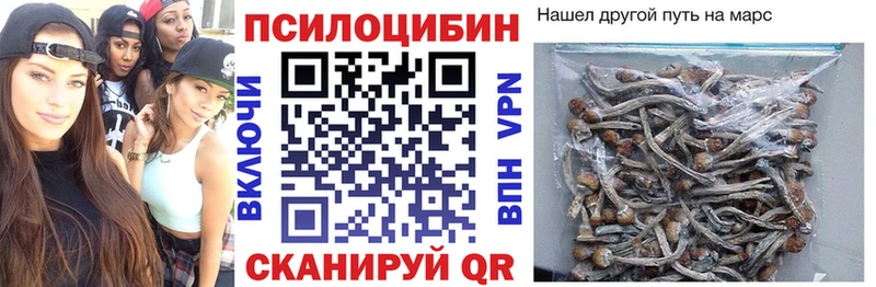 Галлюциногенные грибы GOLDEN TEACHER  Купить где  Хилок 